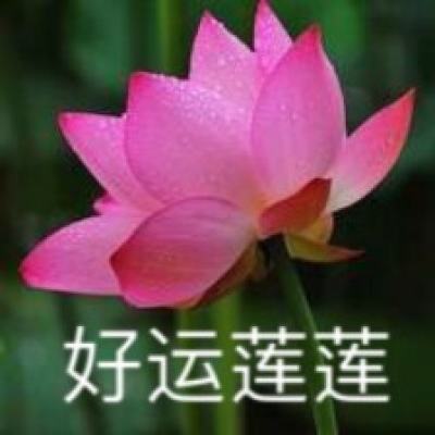 超级赛亚人gt手游九游版下载