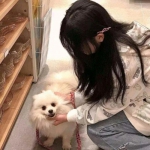 仙剑幻想应用宝版本下载